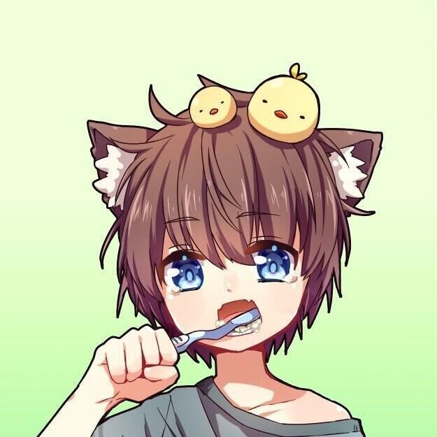 腹黑猫の猫窝